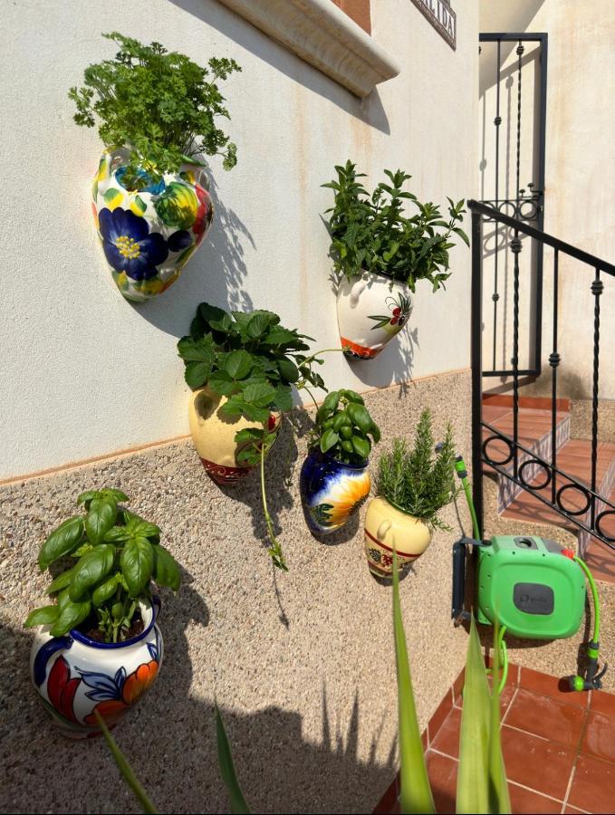 Punta Prima 021 Casa Calida - Orihuela Costaアパートメント エクステリア 写真